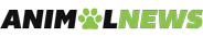 Baba Ololade agba